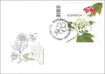 RASTLINSTVO - SAMONIKLA DREVNINA